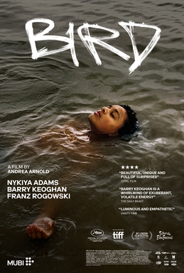 Cartel de la película Bird, de Andrea Arnold.